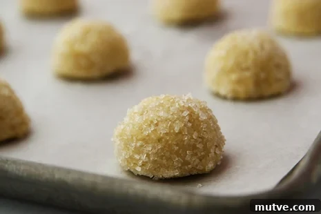 cracked cookie dough ball cookie dough ball rolled in sugar