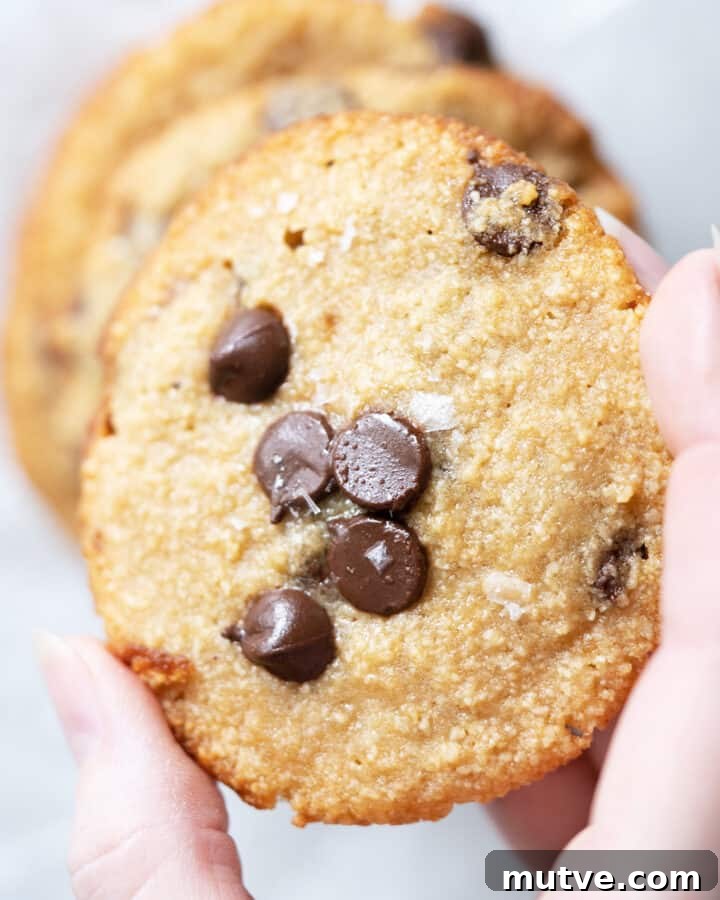 Keto Mac and Cheese Video Recipe 8 Keto Chocolate Chip Cookies