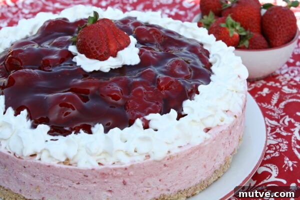 9 No-Bake Summer Desserts to Beat the Heat 2 No-bake summer desserts