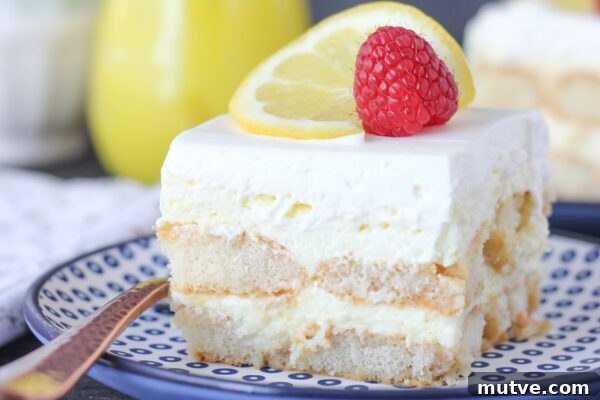 9 No-Bake Summer Desserts to Beat the Heat 3 Lemon Shortcake Icebox Cake