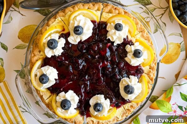 9 No-Bake Summer Desserts to Beat the Heat 7 Lemon Blueberry Cheesecake Pie