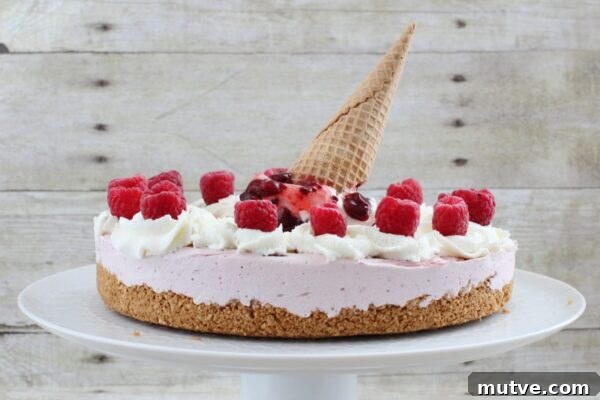 9 No-Bake Summer Desserts to Beat the Heat 8 Raspberry Ice Cream Pie