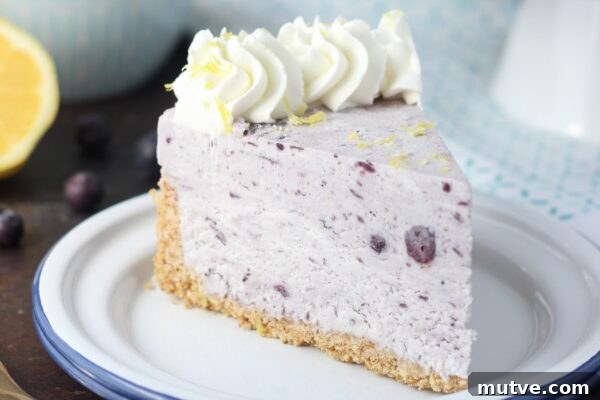 9 No-Bake Summer Desserts to Beat the Heat 10 Blueberry Ice Cream Pie