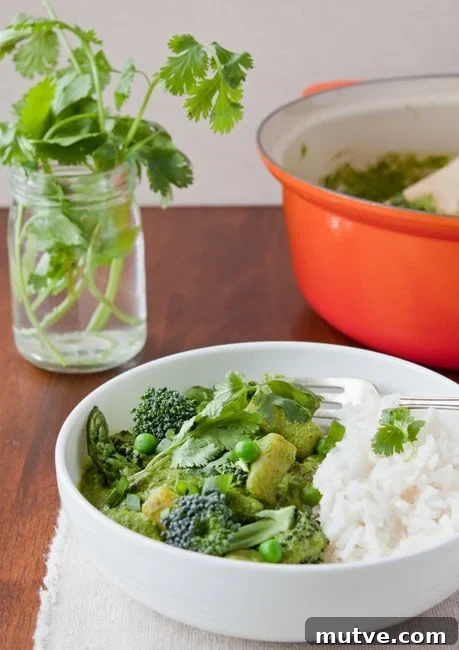 Quick Thai Green Curry for Two 2 Green-Curry-in-a-Hurry-2
