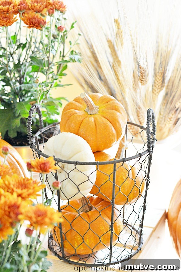 Decorating with pumpkins - fall tablescape