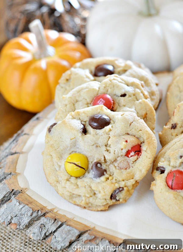 Chocolate chip peanut butter cookies