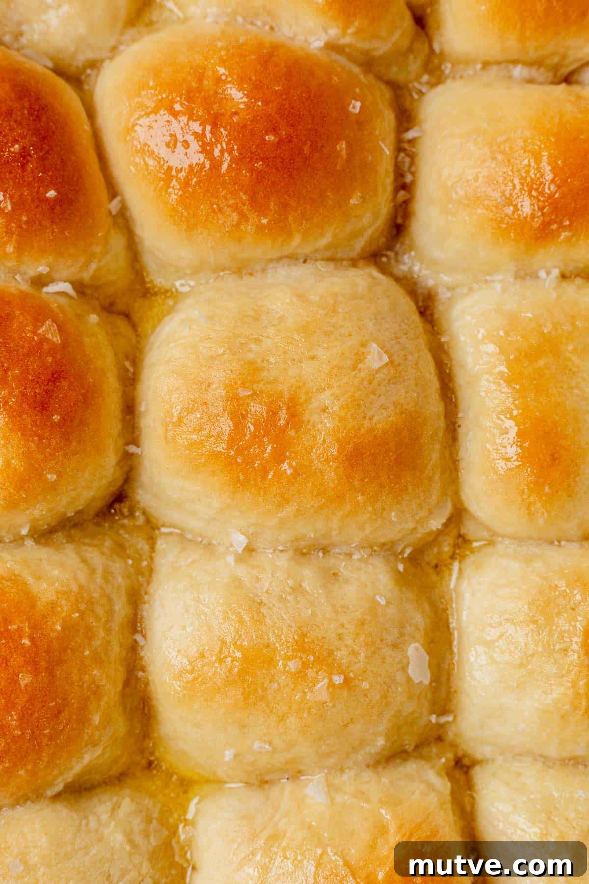 cottage cheese dinner rolls in a baking dish.