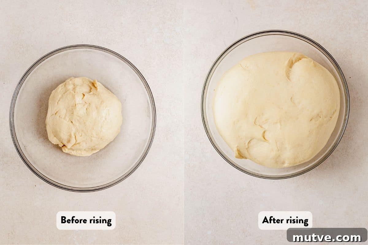 two images of cottage cheese dinner roll dough before and after rising.