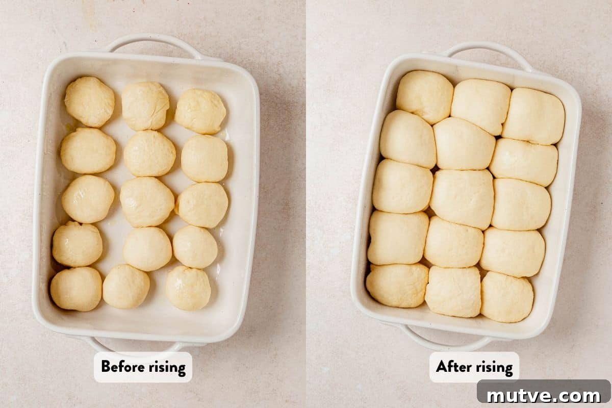 two images of unbaked cottage cheese dinner rolls in a pan before and after rising.