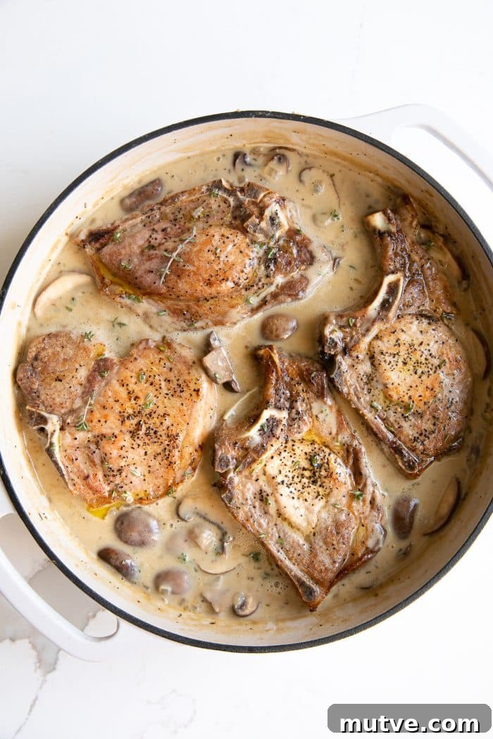 Enameled Dutch oven with cooked bone-in pork chops in creamy mushroom sauce.
