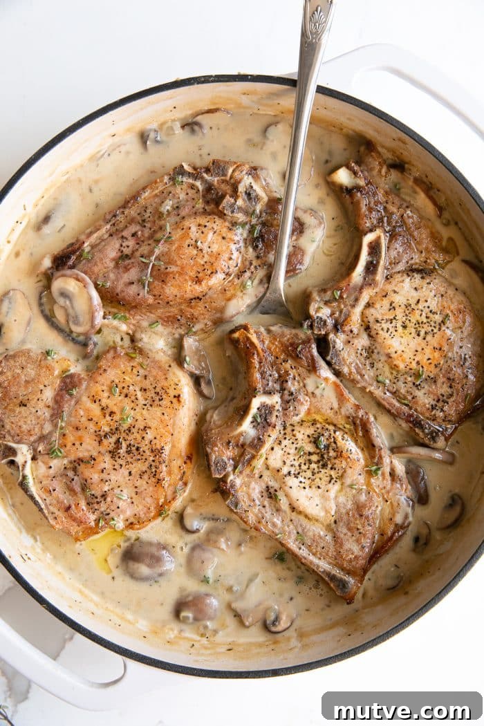 One-Pan Smothered Pork Chops with Mushroom Gravy 6 Overhead image of a white ceramic pan filled with cooked bone-in pork chops simmering in creamy mushroom sauce.