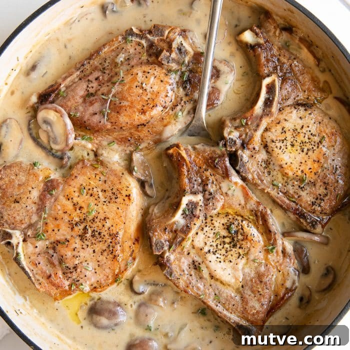 Image of a white ceramic pan filled with cooked bone-in pork chops simmering in creamy mushroom sauce.