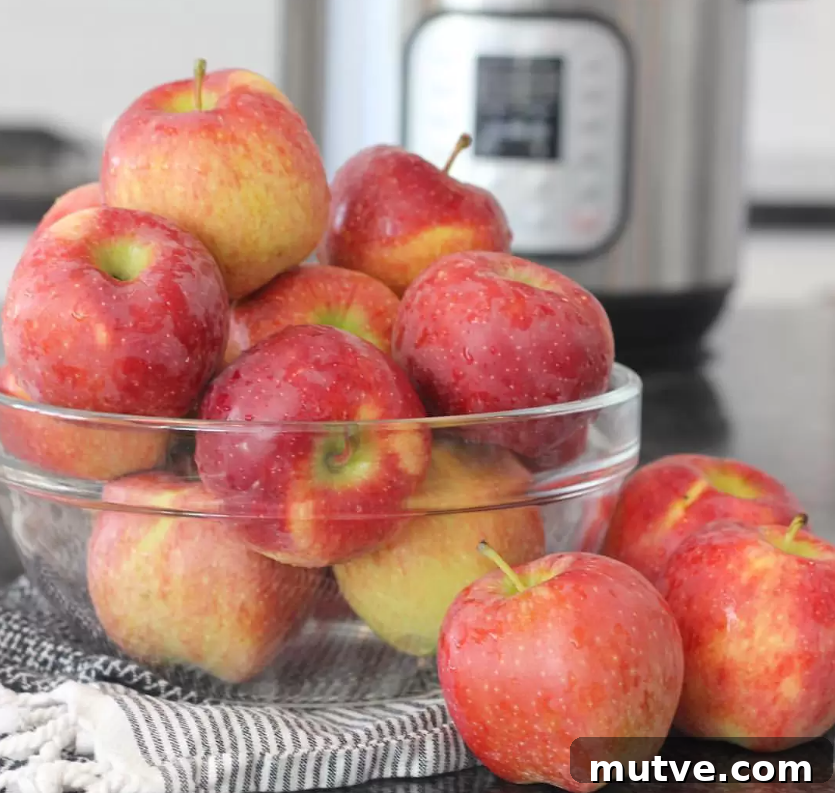 Homemade Applesauce Recipe from Scratch with Cinnamon 4 Jar of fresh applesauce