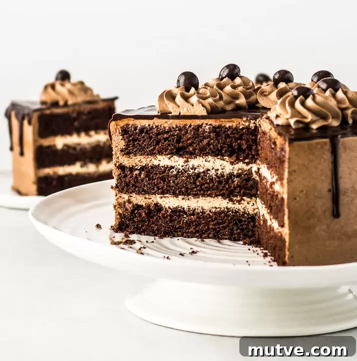 Decadent Chocolate Mocha Cake Recipe 2 sliced cake on a cake stand in front of a slice of cake on a plate