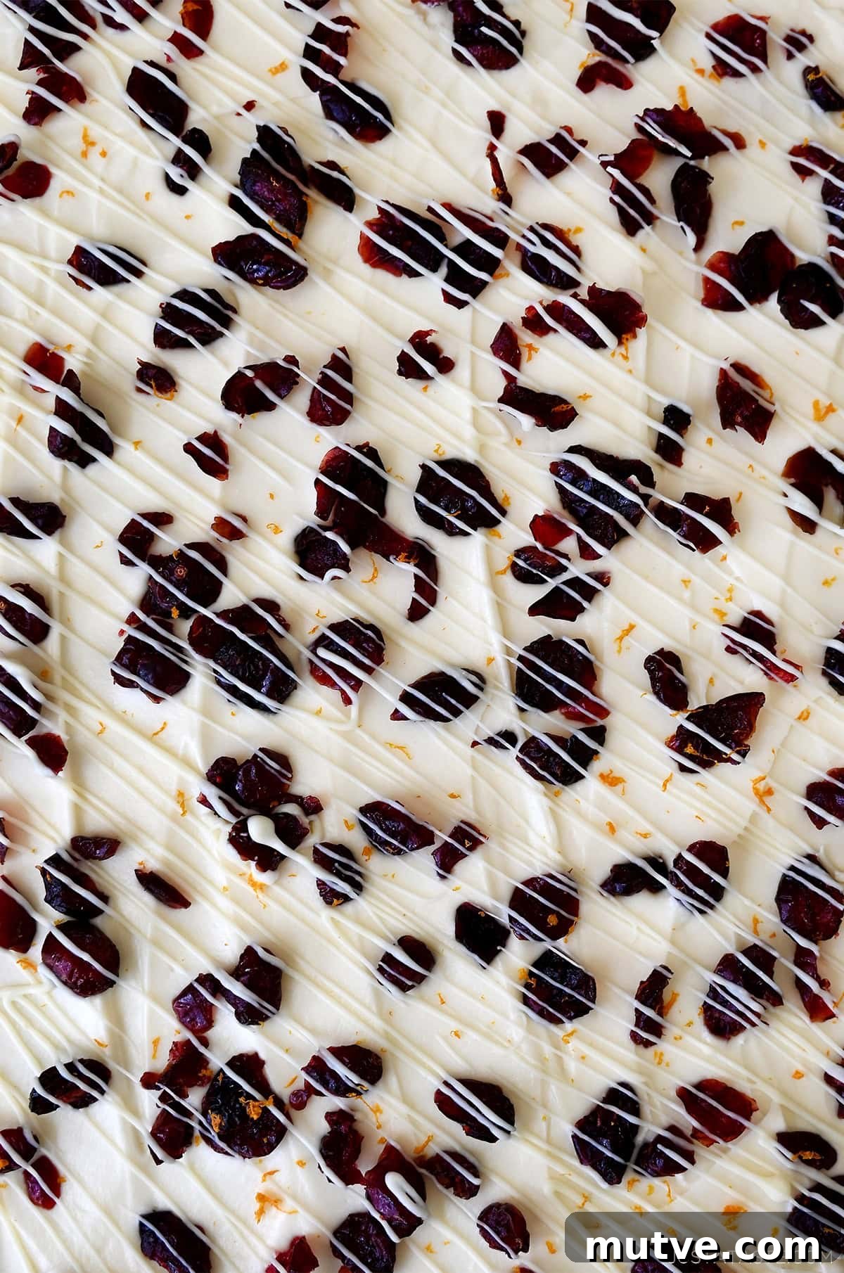 A close view of cream cheese frosting topped with dried cranberries, orange zest and melted white chocolate in a zigzag pattern.