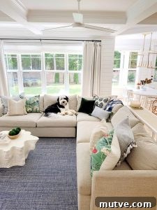 dog sitting on sofa next to blue and green pillows