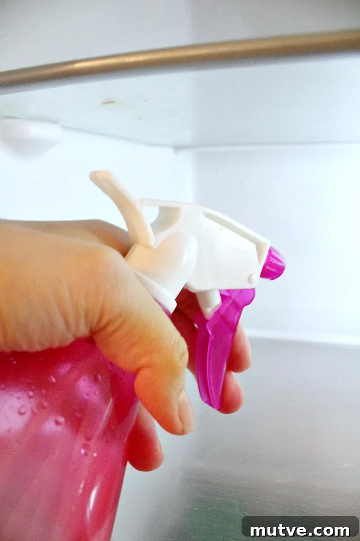 Homemade fridge odor remover spray