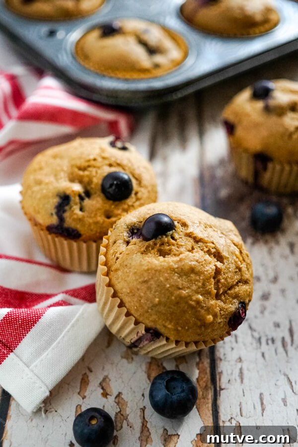 Two blueberry bran muffins on a red and white striped towel.