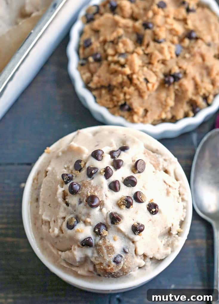 This Paleo Cookie Dough Ice Cream is rich, creamy, and so delicious. Vanilla dairy free ice cream with chunks of edible cookie dough that is vegan, nut free, egg free, gluten free, and naturally sweetened. This Paleo Cookie Dough Ice Cream is rich, creamy, and so delicious. Vanilla dairy free ice cream with chunks of edible cookie dough that is vegan, nut free, egg free, gluten free, and naturally sweetened.