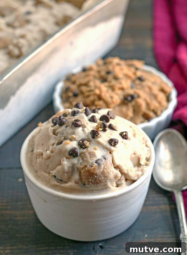 This Paleo Cookie Dough Ice Cream is rich, creamy, and so delicious. Vanilla dairy free ice cream with chunks of edible cookie dough that is vegan, nut free, egg free, gluten free, and naturally sweetened. This Paleo Cookie Dough Ice Cream is rich, creamy, and so delicious. Vanilla dairy free ice cream with chunks of edible cookie dough that is vegan, nut free, egg free, gluten free, and naturally sweetened.