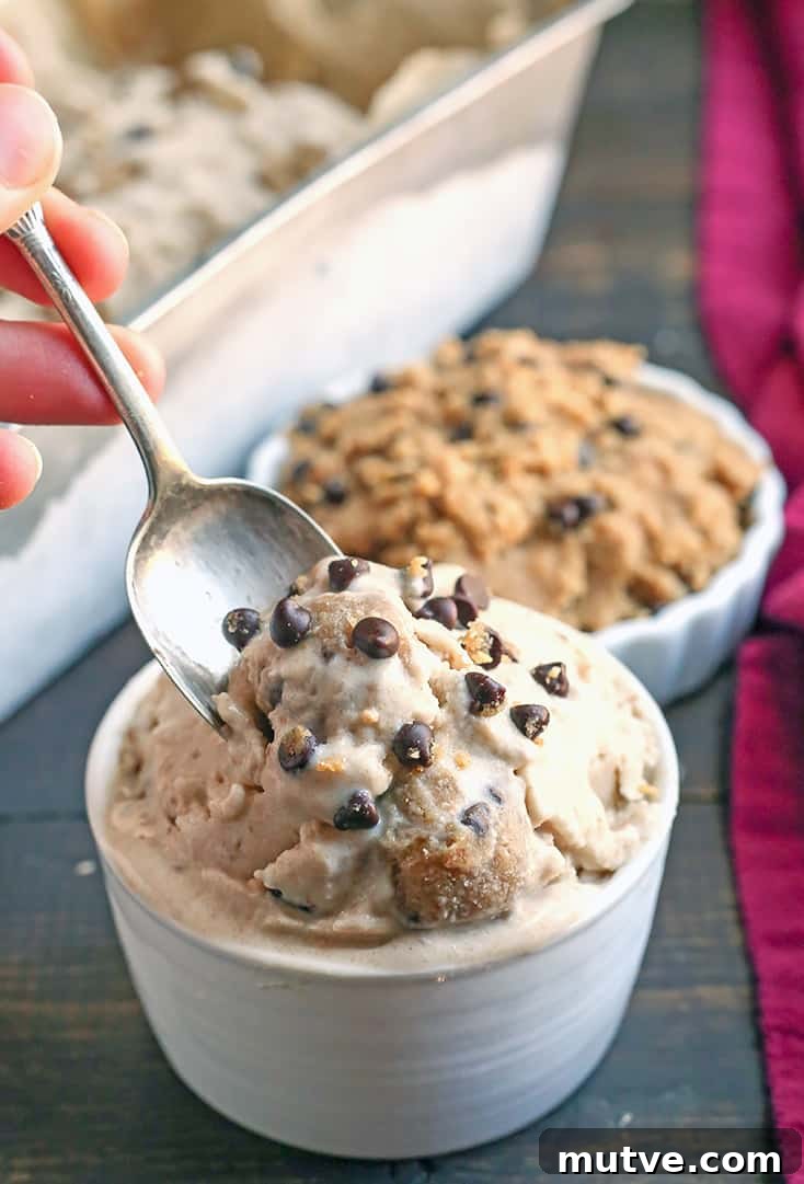 This Paleo Cookie Dough Ice Cream is rich, creamy, and so delicious. Vanilla dairy free ice cream with chunks of edible cookie dough that is vegan, nut free, egg free, gluten free, and naturally sweetened. This Paleo Cookie Dough Ice Cream is rich, creamy, and so delicious. Vanilla dairy free ice cream with chunks of edible cookie dough that is vegan, nut free, egg free, gluten free, and naturally sweetened.
