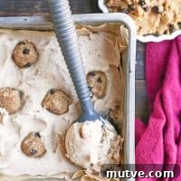 Gluten-Free Cookie Dough Ice Cream Recipe 2 img 7724 6