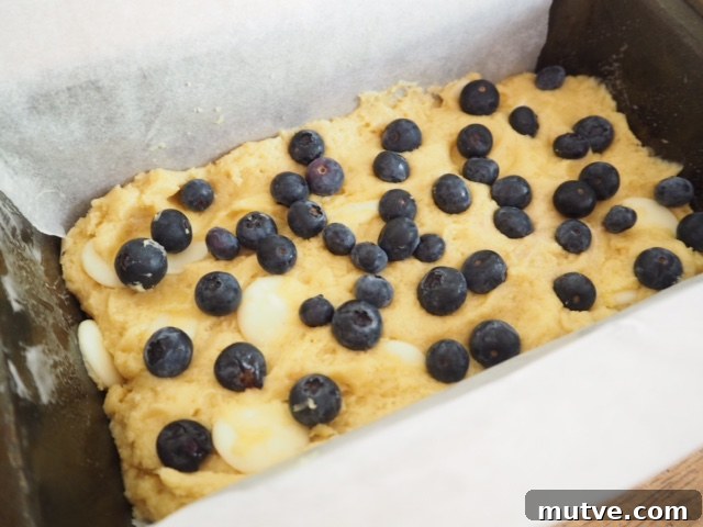 Blueberry and White Chocolate Blondie