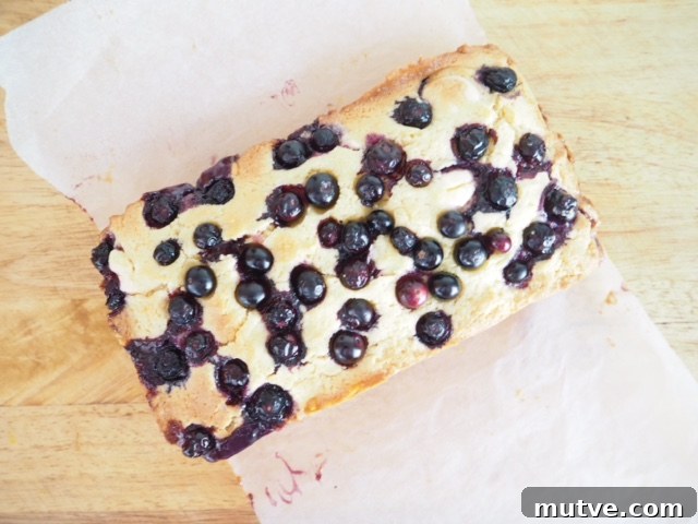 Blueberry and White Chocolate Blondie