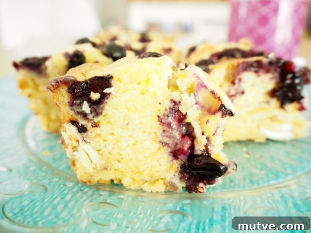 Blueberry and White Chocolate Blondie