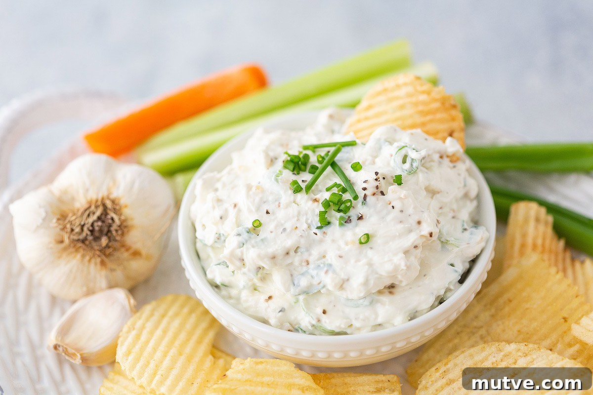 Creamy Homemade Garlic Dip Recipe 3 Best Garlic Dip with Chips