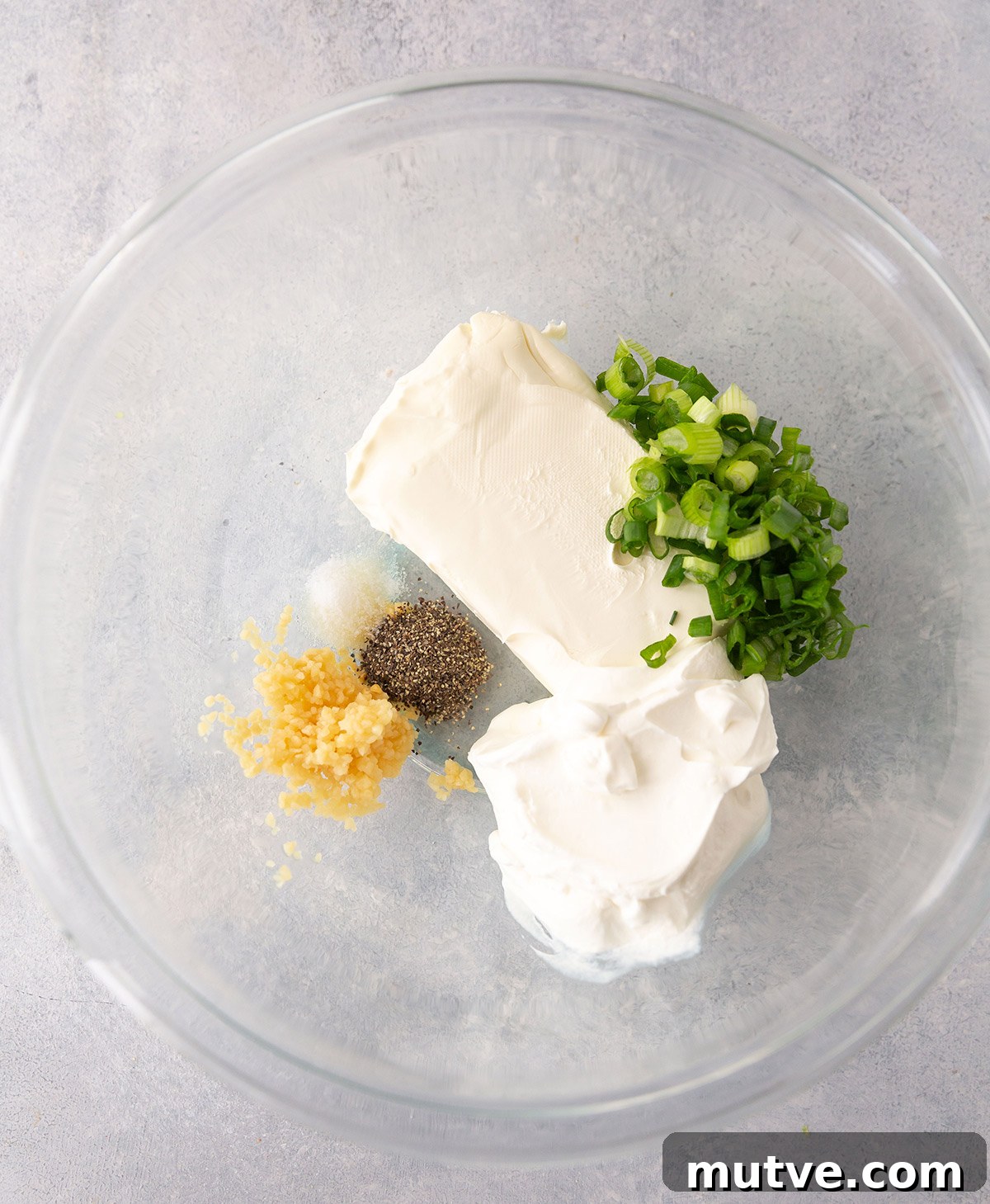 Creamy Homemade Garlic Dip Recipe 4 garlic dip ingredients in bowl