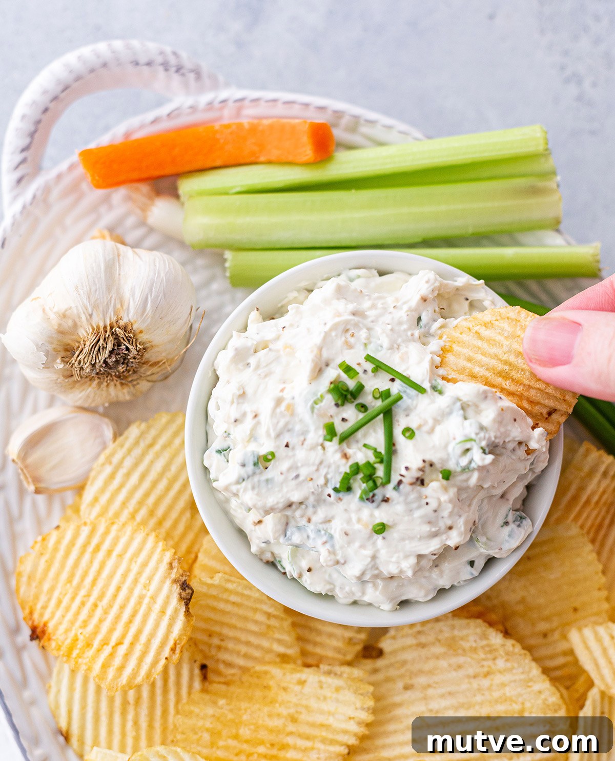 Creamy Homemade Garlic Dip Recipe 5 Garlic Dip