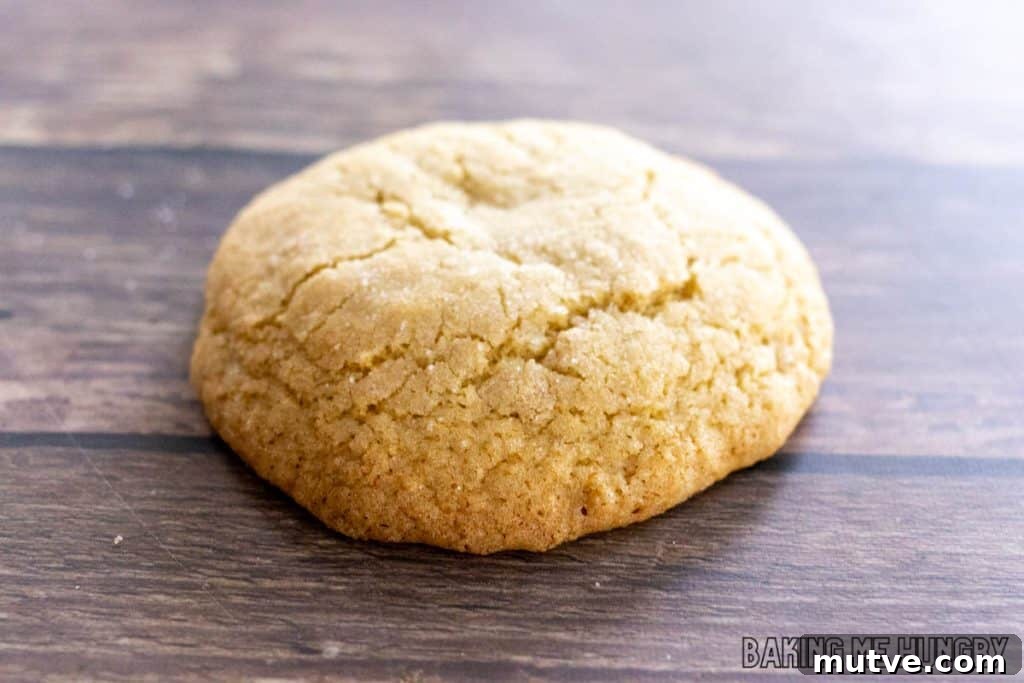 sugar cookie on wood surface
