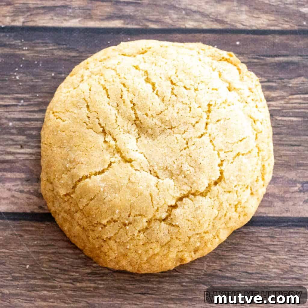 single serve sugar cookie on wood surface close up
