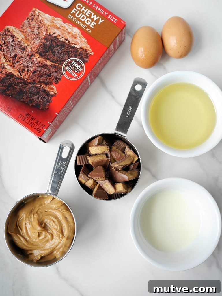 Reese's Peanut Butter Swirl Brownies Recipe with Brownie Mix 3 img 8195 2