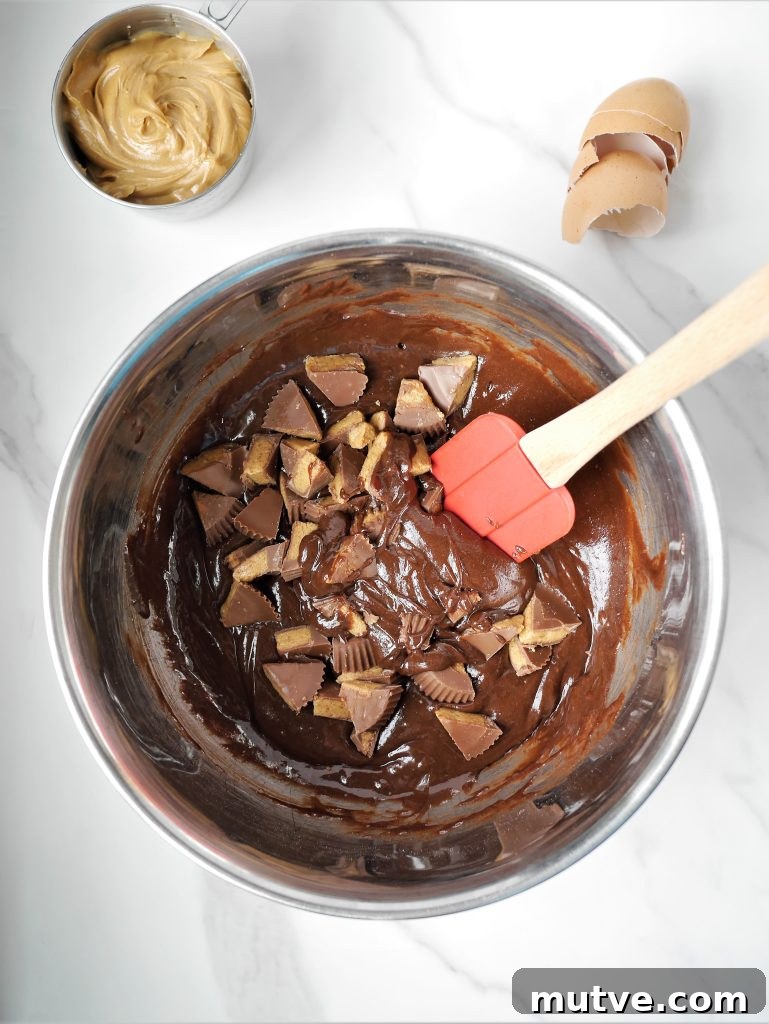 Reese's Peanut Butter Swirl Brownies Recipe with Brownie Mix 4 img 8195 3