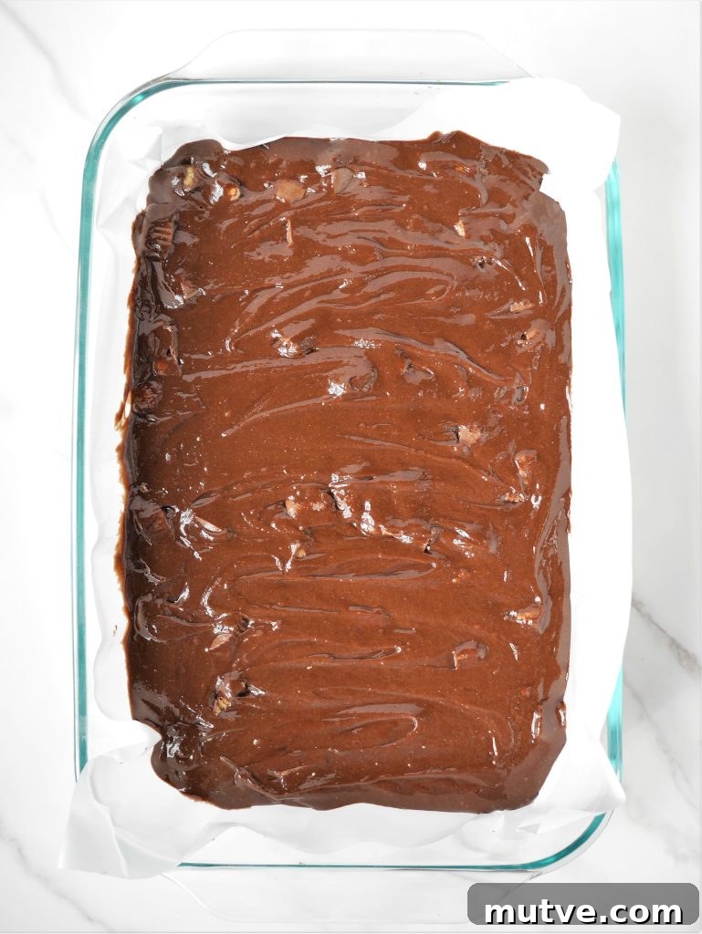 Reese's Peanut Butter Swirl Brownies Recipe with Brownie Mix 5 img 8195 4