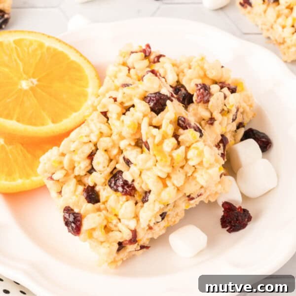 Browned Butter Rice Krispie Treats 15 two cranberry orange rice crispy treats on white plate