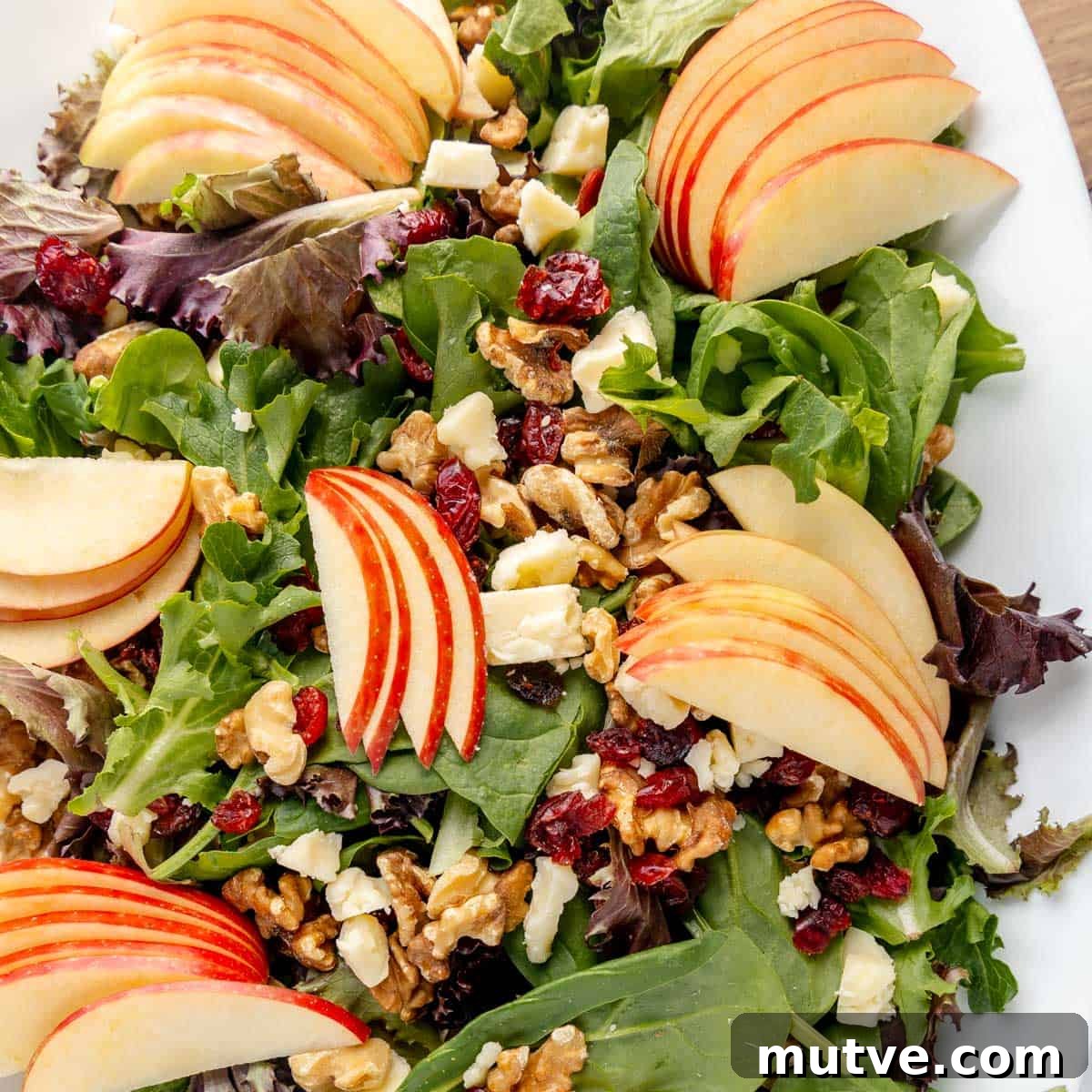 A fresh salad with mixed greens, sliced apples, walnuts, feta cheese, and dried cranberries on a white plate.