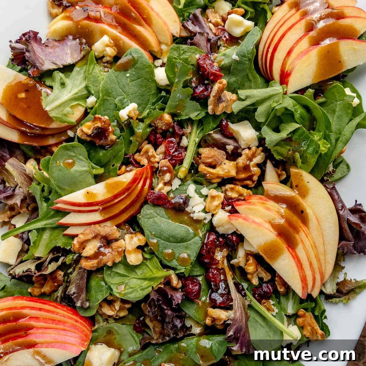 A close-up of a fresh salad with mixed greens, apple slices, walnuts, cranberries, cheese chunks, and drizzled with a dark dressing.