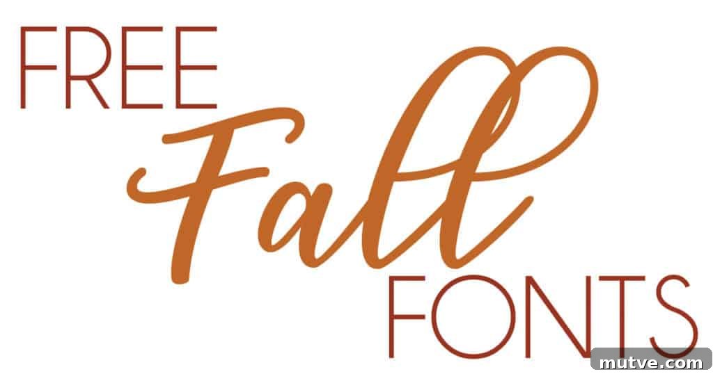 Download Free Fonts for Fall Design Projects 2 img 8451 1