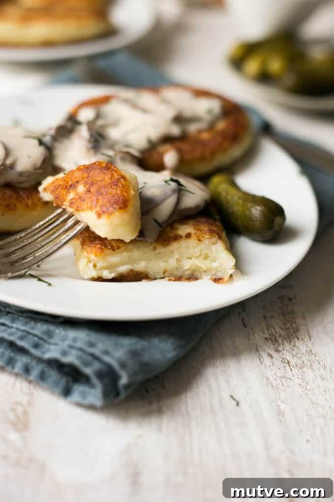 Crispy Potato Cutlets with Creamy Mushroom Sauce 5 Potato cutlets with creamy mushroom and dill sauce | via @annabanana.co