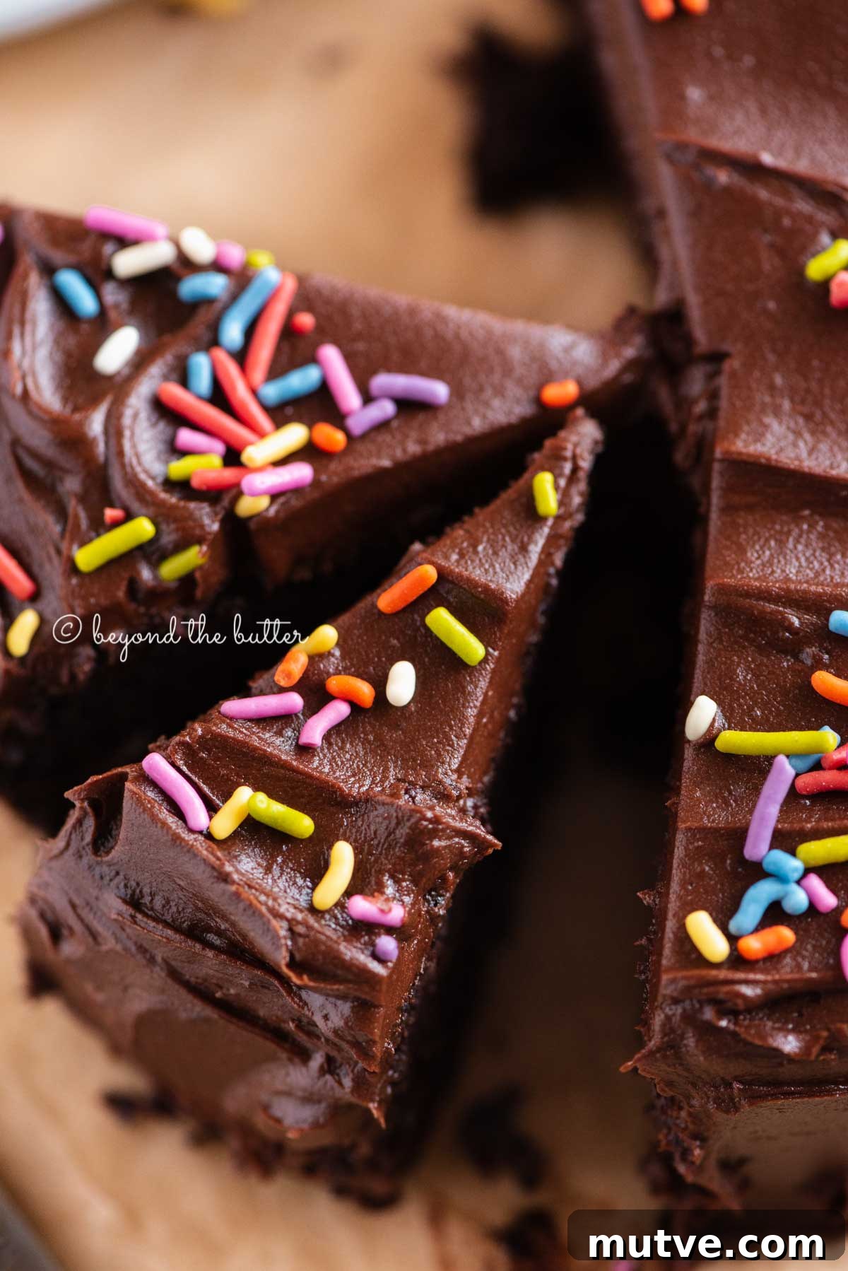 Moist Single-Layer Chocolate Cake Recipe 14 Overhead closeup image of single layer chocolate cake with slices cut and randomly placed by the cake | All Images © Beyond the Butter®