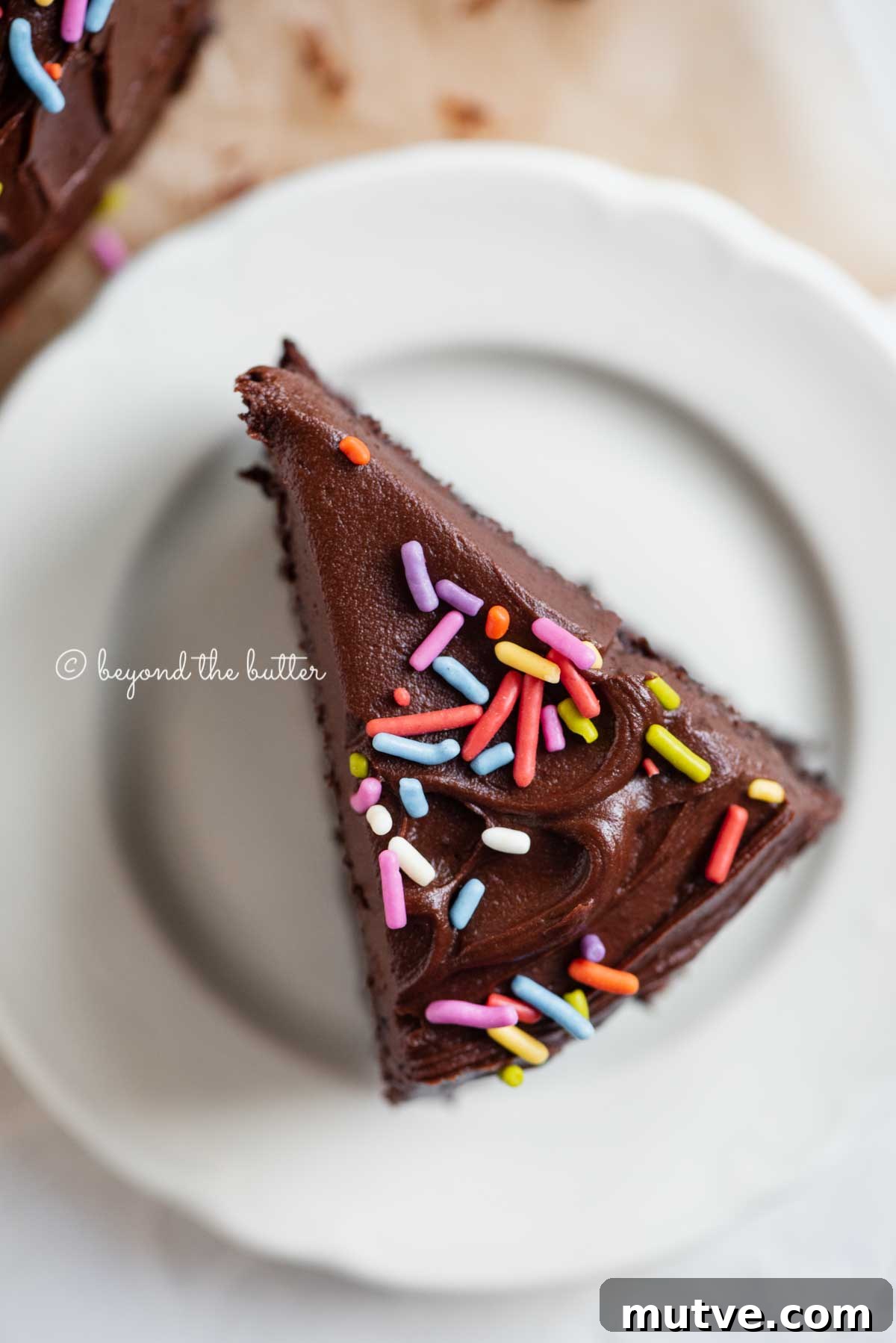 Moist Single-Layer Chocolate Cake Recipe 3 Overhead closeup image of single slice of 6 inch chocolate cake on white dessert plate | All Images © Beyond the Butter®