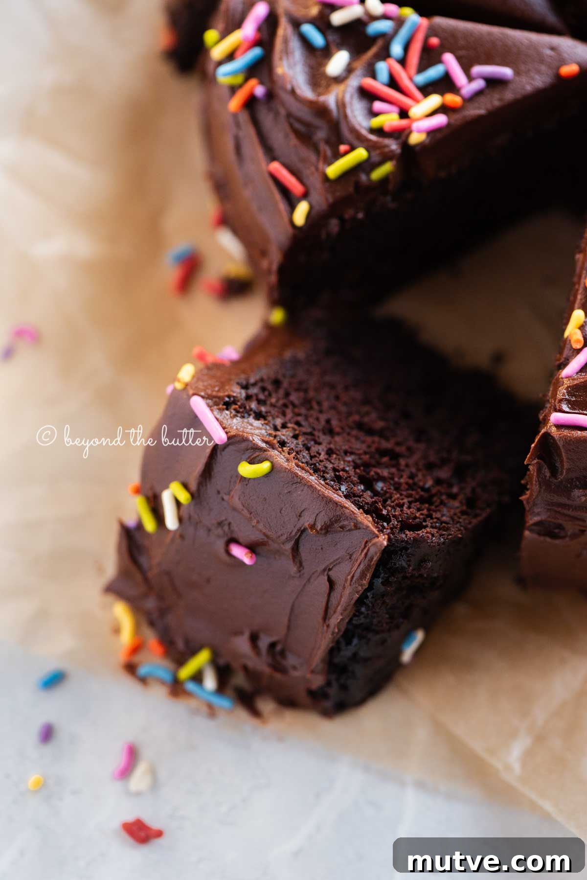 Moist Single-Layer Chocolate Cake Recipe 4 Angled closeup image of single layer chocolate cake with slices cut and randomly placed by the cake | All Images © Beyond the Butter®