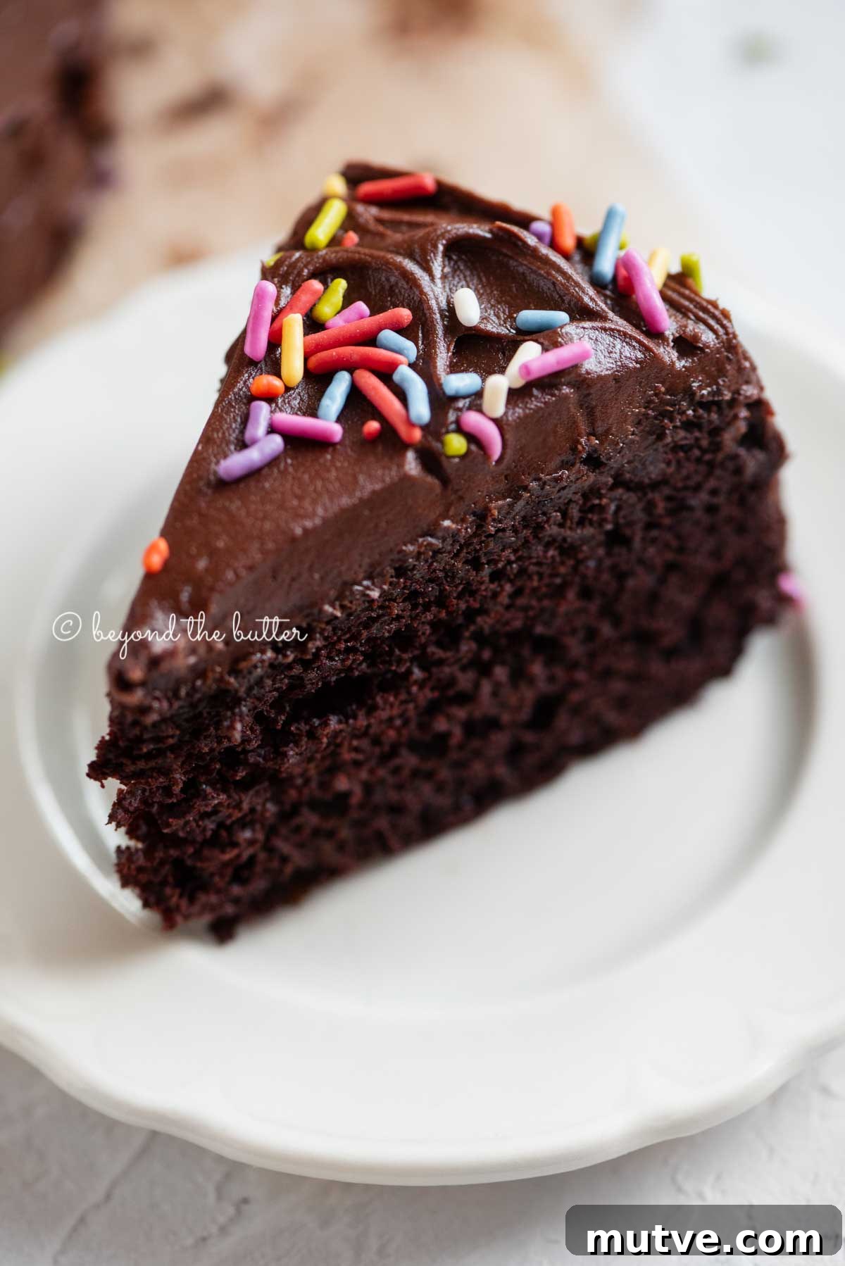 Moist Single-Layer Chocolate Cake Recipe 7 Angled closeup image of single slice of 6 inch chocolate cake on white dessert plate | All Images © Beyond the Butter®
