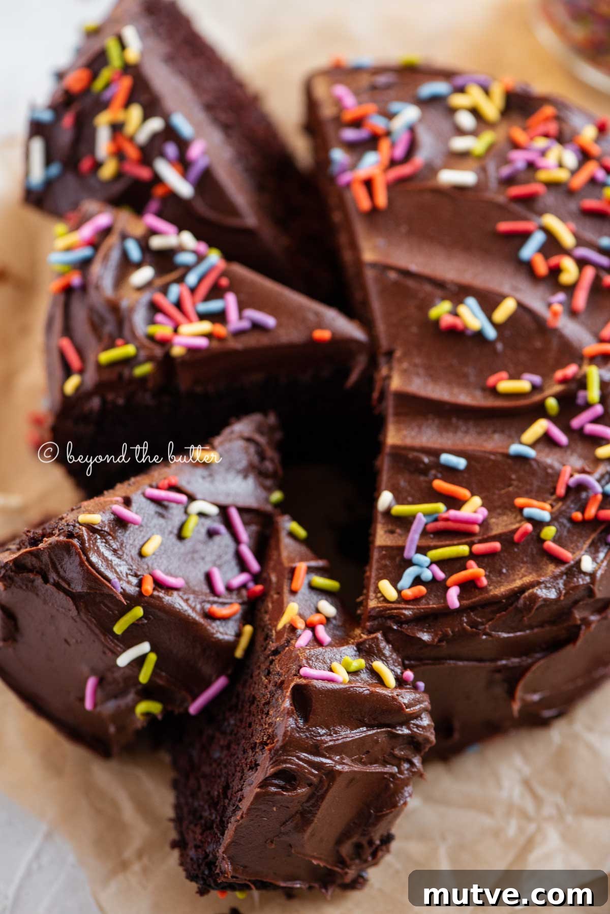 Moist Single-Layer Chocolate Cake Recipe 8 Overhead image of single layer chocolate cake with slices cut and randomly placed by the cake | All Images © Beyond the Butter®
