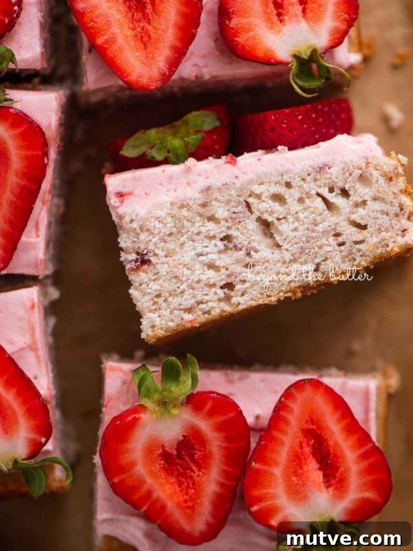 Moist Single-Layer Chocolate Cake Recipe 10 Slices of mini strawberry sheet cake topped with strawberry buttercream frosting and fresh strawberries with one slice on its side.