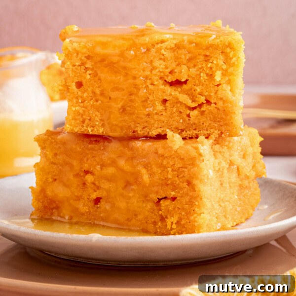 Two pieces of sweet potato cornbread stacked on a plate.