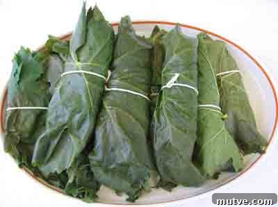 How to Prepare Grape Leaves for Dolmades 12 abelofylla yia ntolmades grape leaves for dolmades blanched bundles